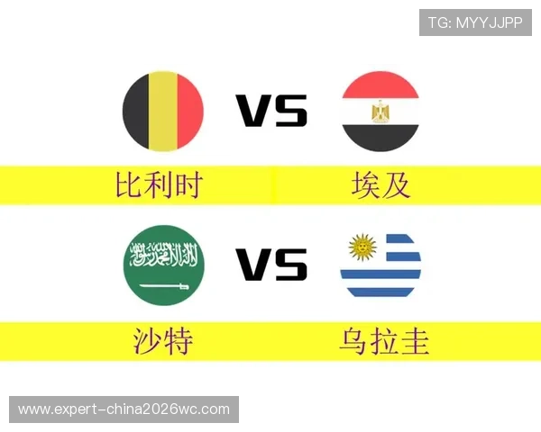 世界杯比利时对埃及比赛现场氛围与球迷支持情况全景报道